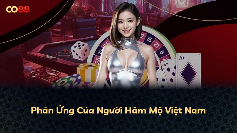 Phản Ứng Của Người Hâm Mộ Việt Nam